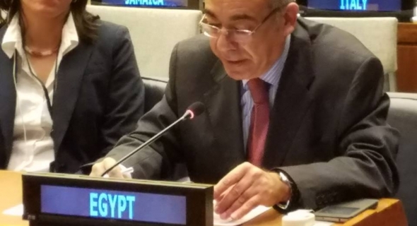 مصر تؤكد على ضرورة احترام ميثاق الأمم المتحدة كركيزة لإصلاح المنظمة ولتسوية النزاعات بالطرق السلمية
