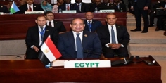 “السيسي” يؤكد على أهمية العمل الجماعي والتكامل بين الدول الأفريقية