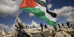 هل ينجح مؤتمر السلام السعودي الفرنسي في صنع موقف دولي موحد لإيقاف العدوان الإسرائيلي؟
