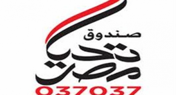 صندوق تحيا مصر يتلقى التبرعات لمواجهة فيروس كورونا