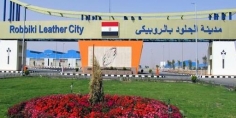 استمرار تلقي طلبات تملك وإيجار 36 مصنعا للجلود بمدينة الروبيكي