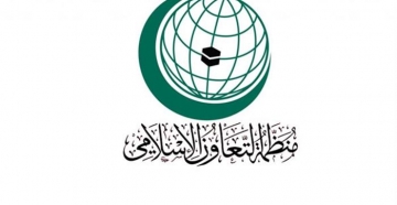 منظمة التعاون الإسلامي تدين الغارات الإسرائيلية على الأراضي السورية