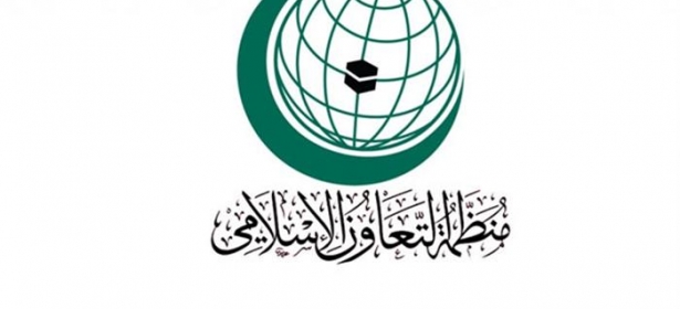 منظمة التعاون الإسلامي تدين الغارات الإسرائيلية على الأراضي السورية