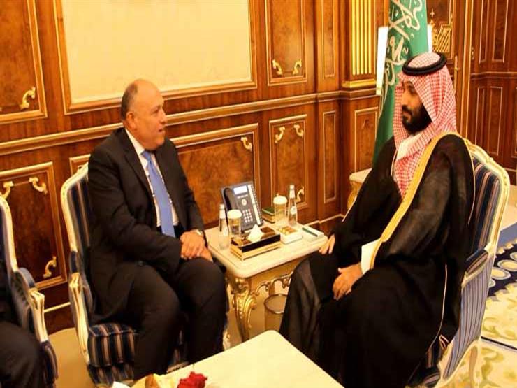 “شكري” بحث مع “بن سلمان” التعاون الثنائي والأزمة اللبنانية