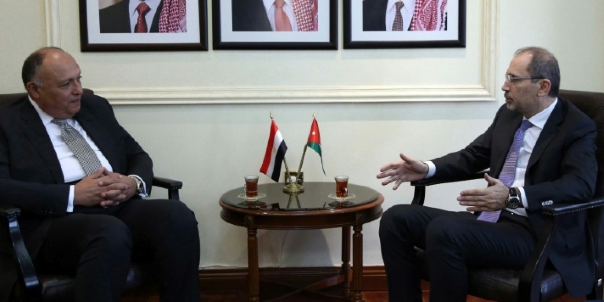 “شكري” و”الصفدي” يبحثان الأوضاع في لبنان وسوريا وفلسطين