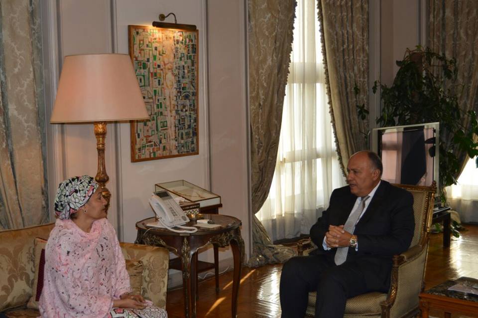 شكري يبحث ونائبة أمين الأمم المتحدة عملية تطوير وإصلاح المنظمة الأممية