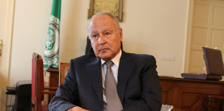“أبو الغيط” يرحب بقرار مجلس الأمن بشأن وقف القتال في سوريا ويناشد بتحرك دولي واستجابة فورية للحالات الإنسانية