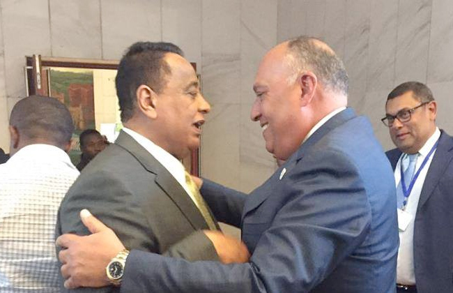 اليوم.. مصر تستضيف اجتماعا رباعيا لوزيري الخارجية ورئيسي المخابرات بمصر والسودان