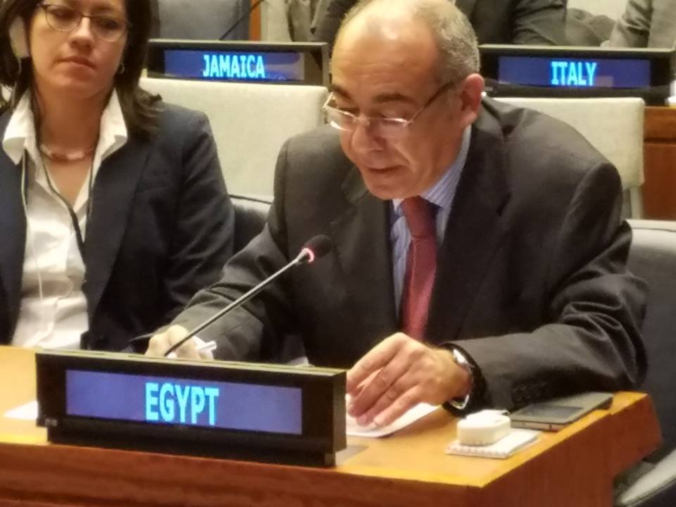 مصر تؤكد على ضرورة احترام ميثاق الأمم المتحدة كركيزة لإصلاح المنظمة ولتسوية النزاعات بالطرق السلمية