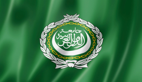 وفد من بعثة الجامعة العربية يزور جيبوتي استعدادا لمتابعة الانتخابات التشريعية المقررة 23 فبراير الجاري