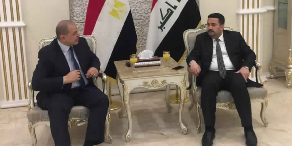 وزير القوى العاملة يبحث مع نظيره العراقى الرواتب التقاعدية المتأخرة للمصريين
