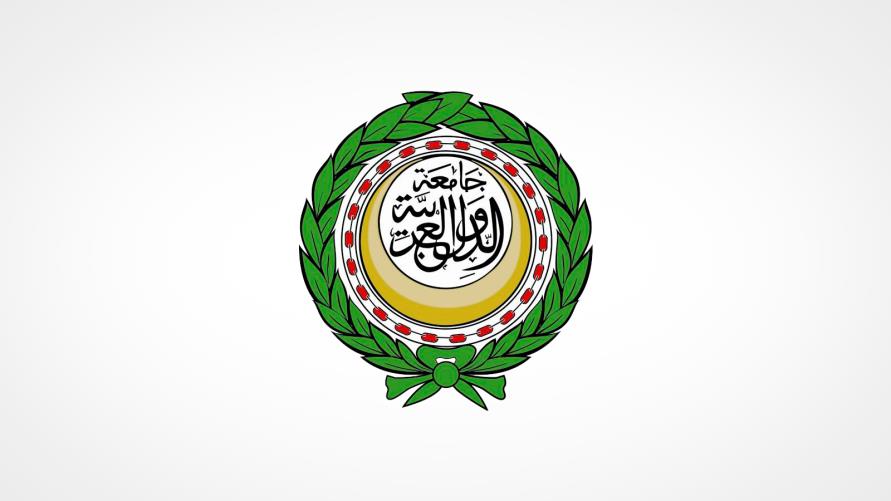 مثلو هيئات التدريب بالقوات المسلحة العربية يبحثون سبل مجابهة الحروب غير التقليدية
