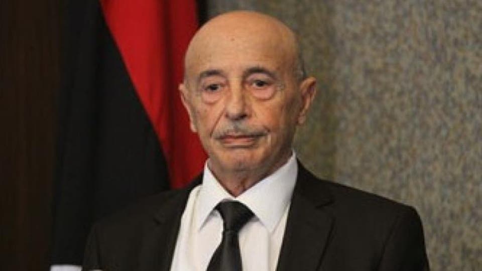 رئيس مجلس النواب الليبي: السيسي لم يكن متحيزا ودفع الجميع للحوار