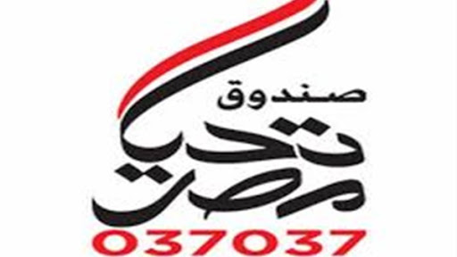 صندوق تحيا مصر يتلقى التبرعات لمواجهة فيروس كورونا