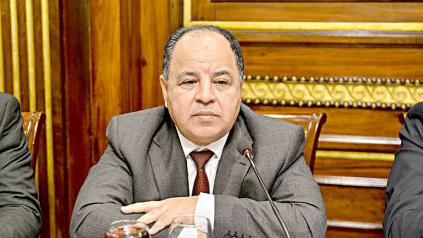 المالية: استمرار بيع وتصريف الحاويات بالجمارك.. والتخلص من البضائع المهملة بالموانئ