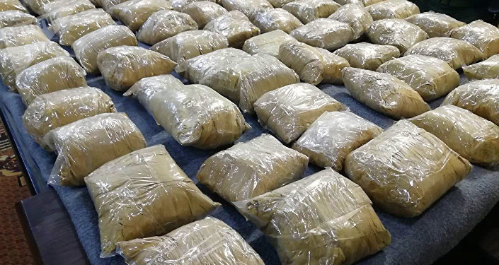 الأمم المتحدة: أفغانستان لا تزال من البلدان الرائدة في إنتاج المخدرات