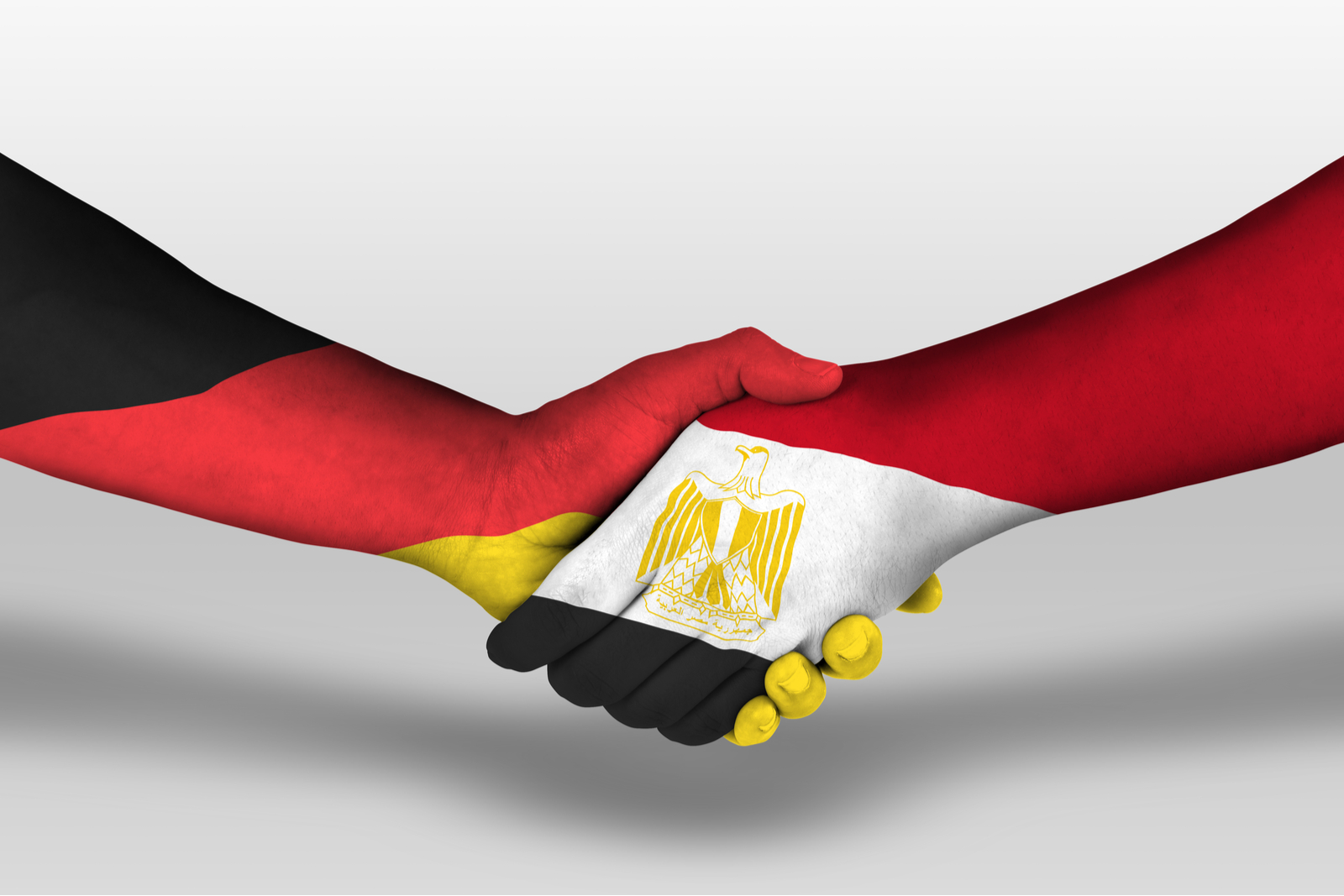 مصر تتفق مع ألمانيا على تمويل 11 مشروعا بـ 133 مليون يورو في 2021