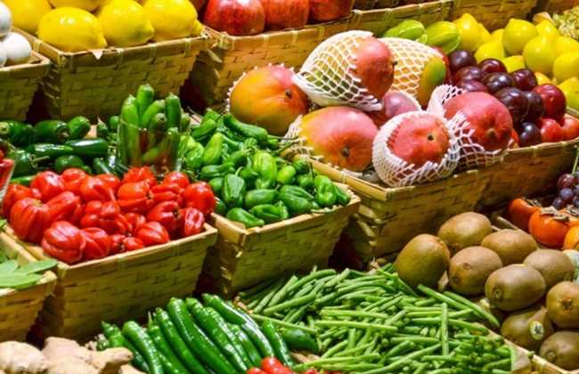 الفلبين تفتح أسواقها للصادرات الزراعية المصرية لأول مرة
