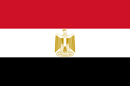 مصر تنفي قطعيا المزاعم الإسرائيلية في محكمة العدل الدولية