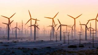 مصر تعلن تشغيل أكبر محطة لطاقة الرياح في أفريقيا والشرق الأوسط