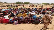 “الفاشر” تذبح بصمت.. قوات الدعم السريع تعدم وتحاصر المدنيين