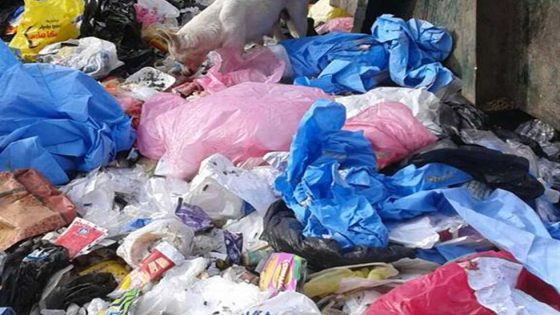 فرنسا: أحكام على شبكة لتهريب نفايات خطرة إلى إفريقيا