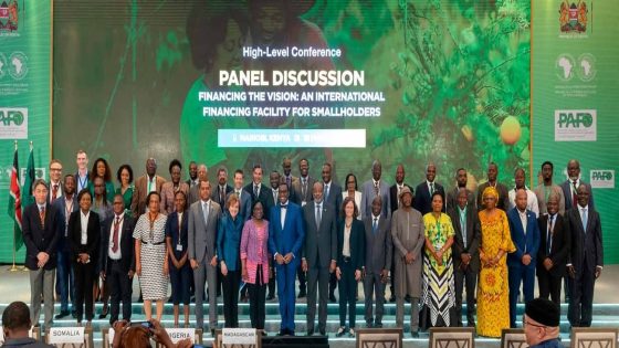 البنك الأفريقي للتنمية يمنح نيجيريا قرضًا بقيمة 500 مليون دولار لدعم التحول الطاقي