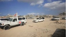 كوت ديفوار تشدد الإجراءات الأمنية على حدودها الشمالية مع مالي