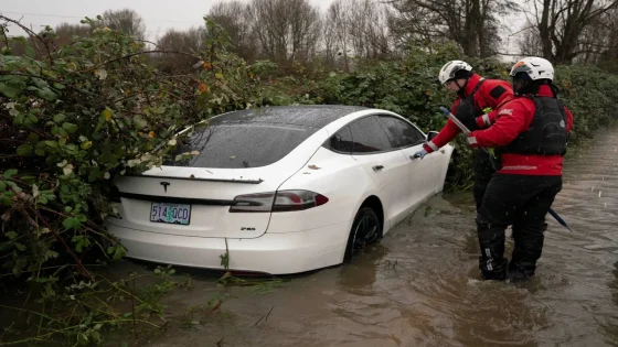 إيلون ماسك كان على علم بعيب في أبواب سيارات تسلا قبل الحوادث المميتة