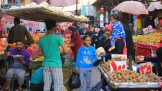 بشرى للمستهلك… البنك الدولي يعلن انخفاض أسعار السلع الأولية في 2026.