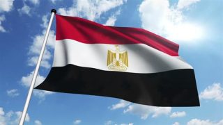 مصر تدعو لخفض التصعيد في حلب وحماية المدنيين