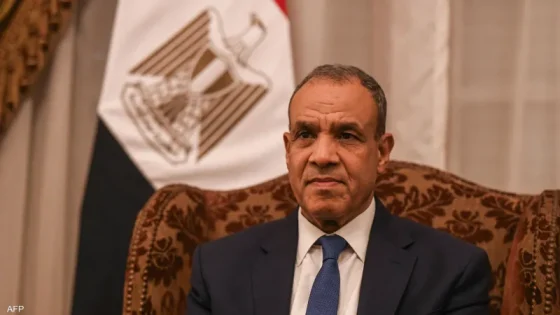 عبدالعاطي يلتقي مدير «الطاقة الذرية» في دافوس لبحث أمن المنطقة