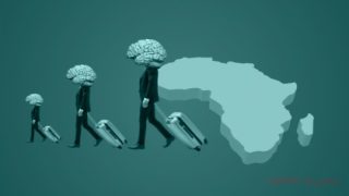 مركز فاروس للدراسات الاستراتيجية: أفريقيا تفقد 70 ألف متخصص سنويا في مختلف المجالات
