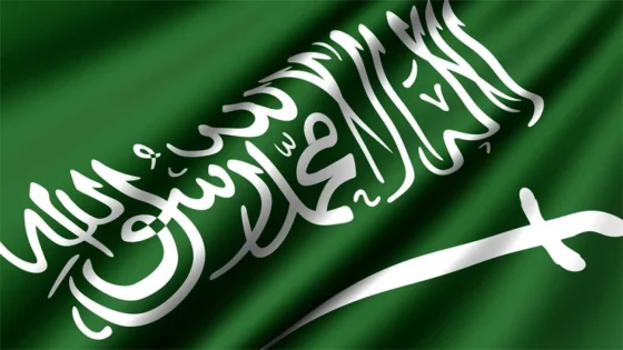 جسور إغاثة من السعودية إلى غزة بتوجيه مباشر من الملك سلمان