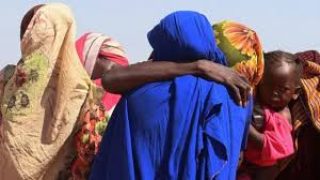 الأمم المتحدة تكشف جحيم النزوح بالسودان: النساء يدفعن الثمن الأكبر
