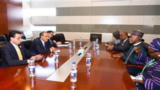 وزير الخارجية المصري يلتقي عدداً من نظرائه الأفارقة على هامش قمة الاتحاد الأفريقي