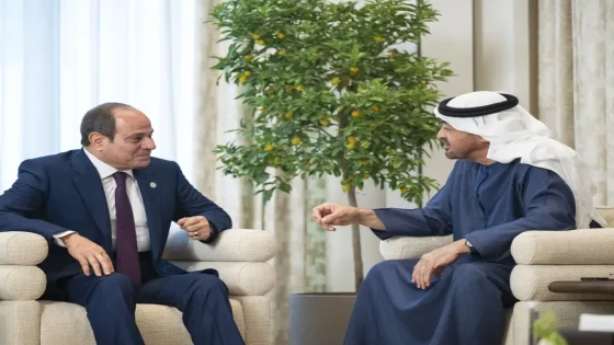 الرئيس السيسي يتوجه إلى الإمارات في زيارة أخوية لبحث تعزيز العلاقات الثنائية