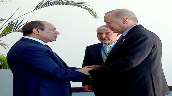 مصر وتركيا تطالبان بوقف النار في السودان ودعم إنهاء الحرب في غزة