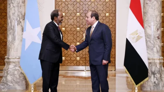 مصر ترفض المساس بوحدة الصومال وتؤكد على مسؤوليتها تجاه أمن البحر الأحمر
