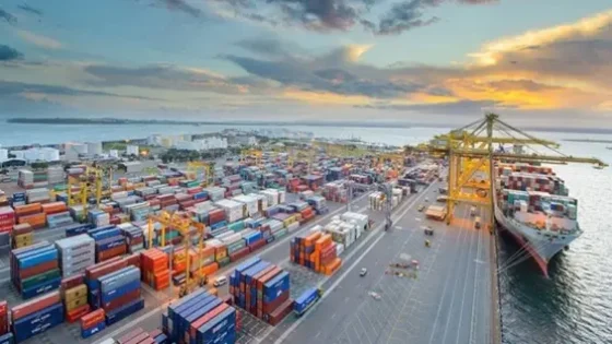 نشاط متزايد في المواني المصرية مع تسهيلات جمركية لشحنات الترانزيت وسط توتر مضيق هرمز