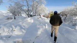 صدمة ربيعية: الثلوج تعود بقوة إلى فيينا ودرجات الحرارة تهبط تحت الصفر