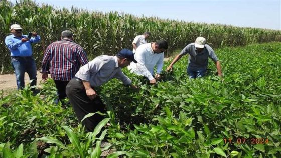 ارتفاع أسعار الوقود في مصر يثير مخاوف المزارعين