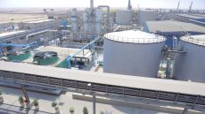 “إيفر جرو”.. بين نيران القروض واتهامات القرود