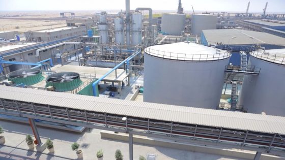 “إيفر جرو”.. بين نيران القروض واتهامات القرود