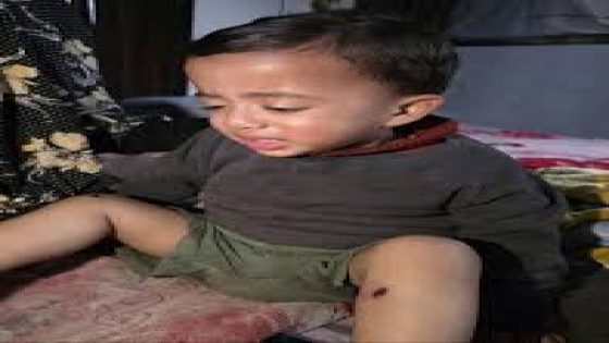 الأمم المتحدة: التعذيب أصبح “نهج دولة” في إسرائيل