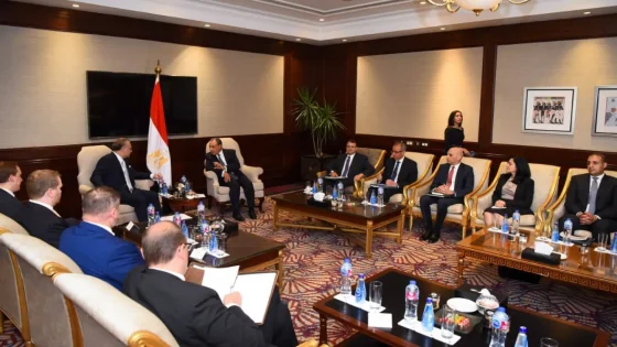 مصر تؤكد رفض التدخلات الخارجية في السودان وتدعو لوقف إطلاق النار