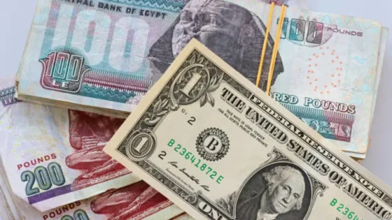 الداخلية تضبط ملايين الجنيهات من تجار الدولار وسط ارتفاع قياسي للعملة الأميركية