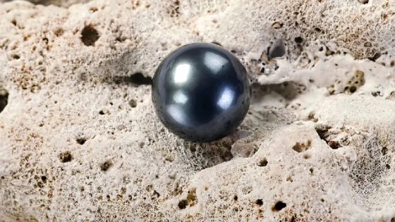 اللؤلؤ الأسود في مانيهيكي يواجه تراجعًا حادًا وسط مساعٍ لإعادة الإحياء