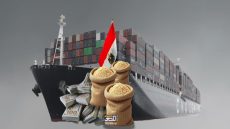 مصر تعزز إنتاج القمح المحلي لمواجهة اضطرابات الإمدادات العالمية ورفع نسبة الاكتفاء الذاتي