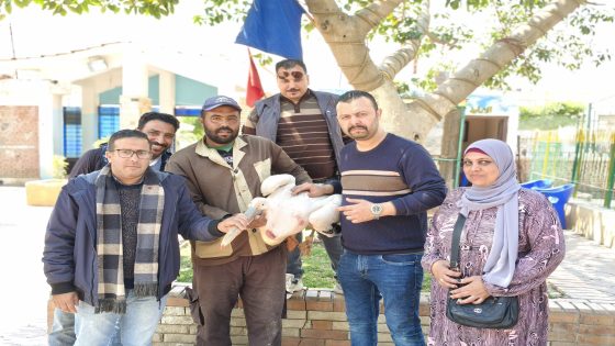 مصادرة “بجعة” بأحد محال بيع الأسماك بطنطا وإيداعها بحديقة الحيوان بكفر الشيخ